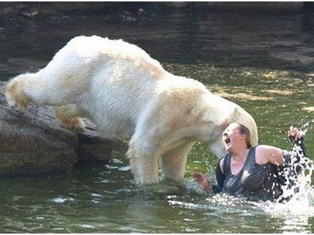 Tranh vui - Phải luôn đề phòng những con vật "hung hăng"