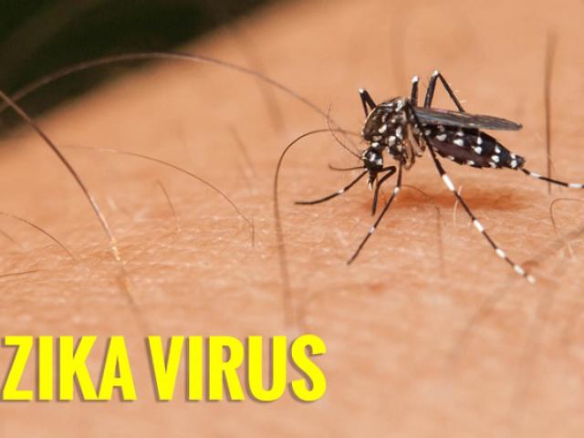 Thêm 1 bệnh nhi nhiễm virus Zika