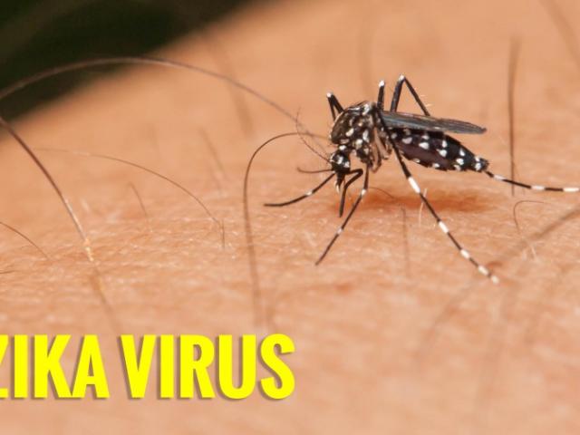 Dịch bệnh do virus Zika sẽ tiếp tục bùng phát