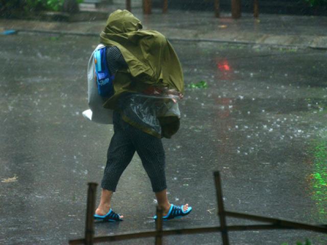 Tin tức trong ngày - Đầu tuần, mưa dông bao trùm khắp 3 miền