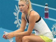 Thể thao - BXH tennis 24/10: Sharapova 0 điểm, mất tên mất số