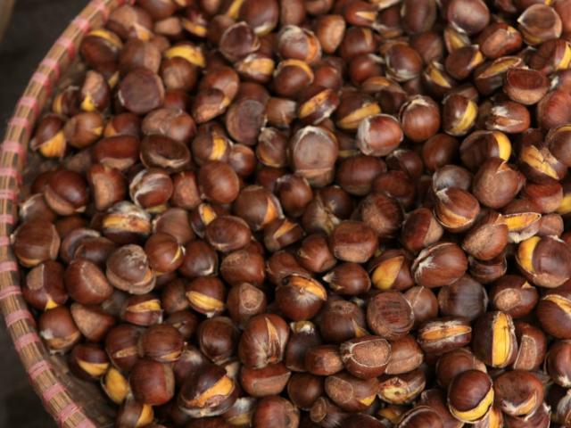 Du lịch - Mùa dẻ chín ở Trùng Khánh