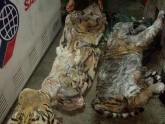 Thị trường - Tiêu dùng - Bắt đối tượng trong đường dây mua bán hổ đông lạnh xuyên biên giới