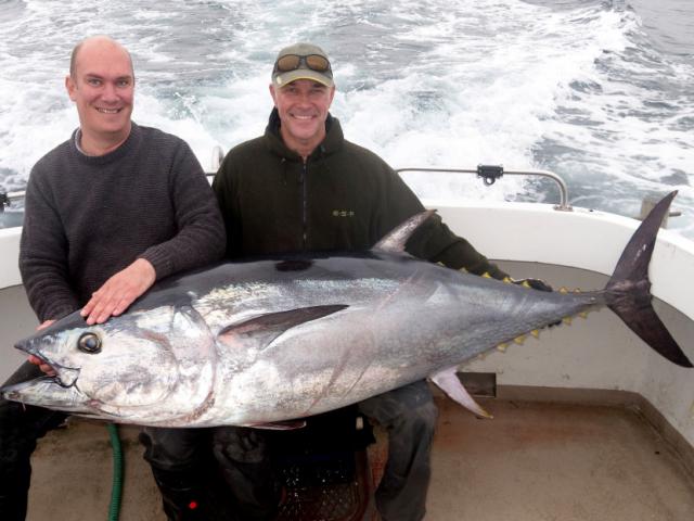Anh: Bắt được cá ngừ vây xanh khổng lồ 270 triệu đồng