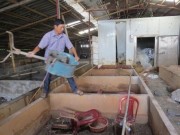 Tin tức trong ngày - Lò hơi nổ như bom làm 4 người chết &quot;vừa được thay mới&quot;