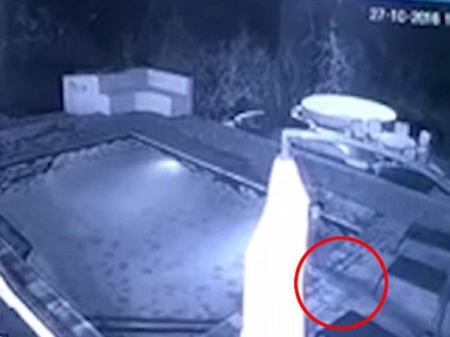 Thế giới - Video: Cá sấu lao vào cắn cô gái mặc bikini trong bể bơi