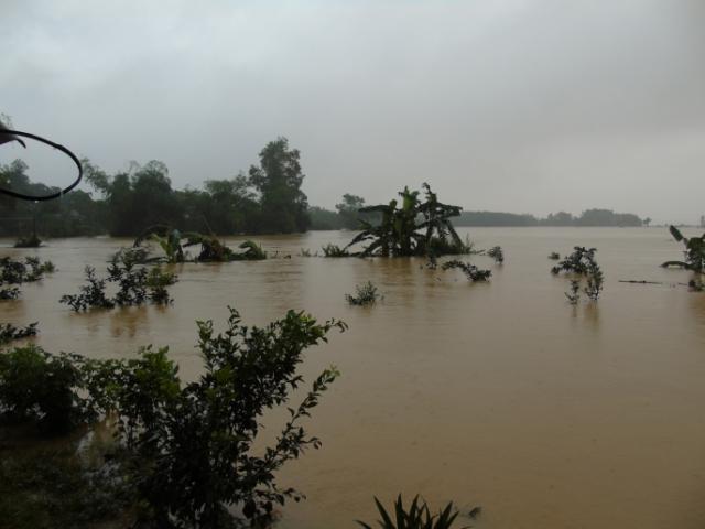 Tin tức trong ngày - Thủy điện xả lũ: Hà Tĩnh bảo sai, Hố Hô bảo đúng