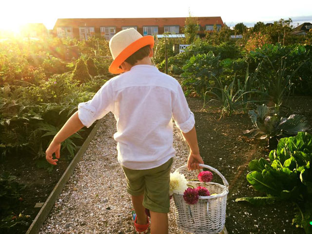 Bạn trẻ - Cuộc sống - "Dạy chữ là việc của trường, bố mẹ chỉ dạy con kỹ năng sống"