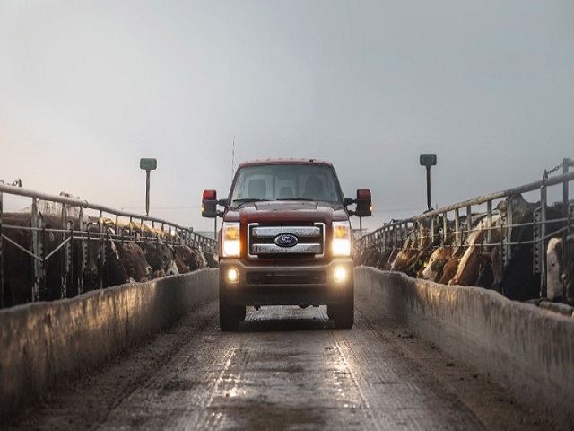 Tư vấn - Top 10 xe bán chạy nhất tại Mỹ