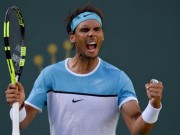 Thể thao - Tin thể thao HOT 5/11: Nadal sẵn sàng chết để thêm Grand Slam