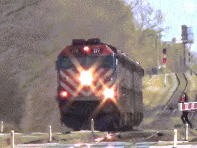 Tranh vui - Thót tim với những tình huống "thần chết ngủ quên"