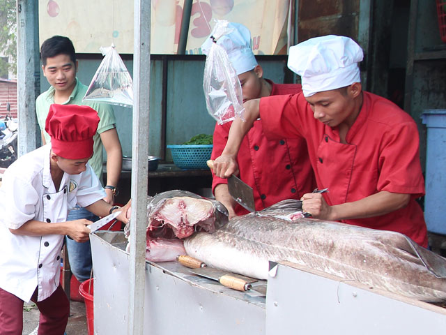 Tin tức trong ngày - “Thủy quái” sông Mê Kông chuyển về HN bán giá thế nào?