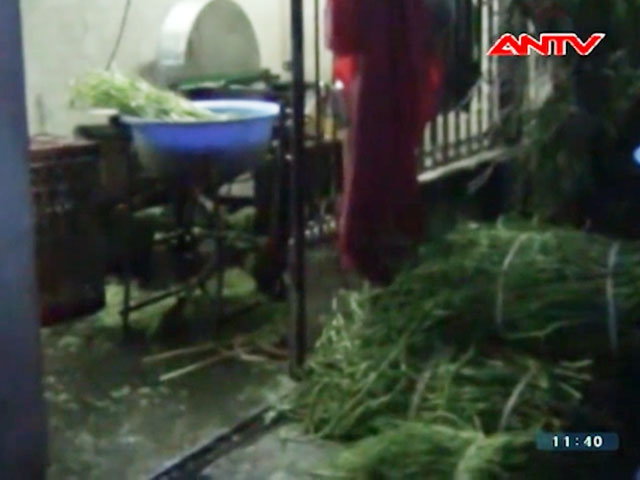 Thị trường - Tiêu dùng - Đột kích lò nhuộm màu rau muống bào ở Đồng Nai