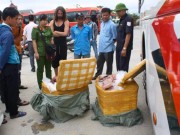Thị trường - Tiêu dùng - Phát hiện hơn 2 tạ nội tạng hôi thối trên xe khách