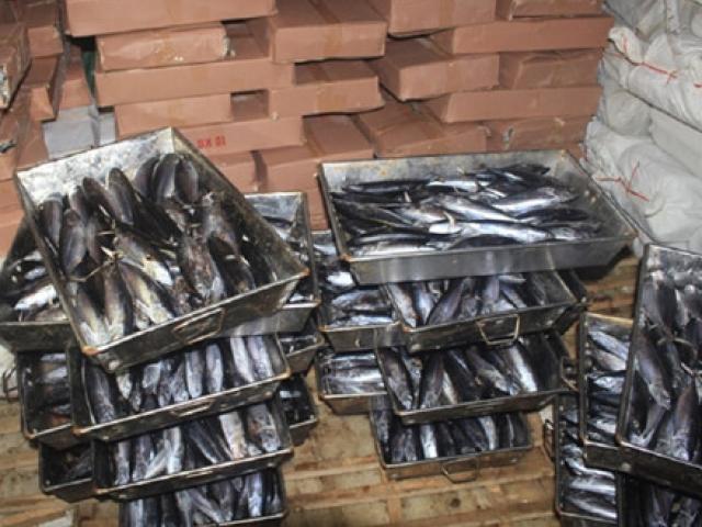 Tin tức trong ngày - Hà Tĩnh còn 320 tấn hải sản không an toàn chưa tiêu hủy