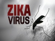 Sức khỏe đời sống - Bà Rịa-Vũng Tàu: Ghi nhận ca nhiễm virus Zika đầu tiên