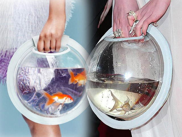 Xu hướng thời trang - Lần đầu thấy túi hiệu trang trí bằng cá vàng đang bơi