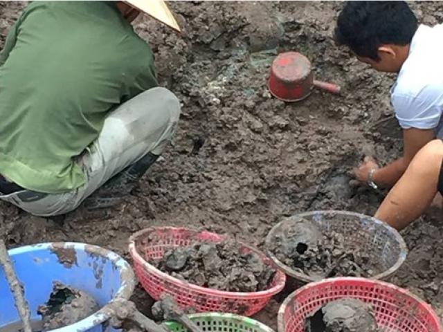 Tin tức trong ngày - Dân phản đối tập kết hài cốt gần nhà máy nước