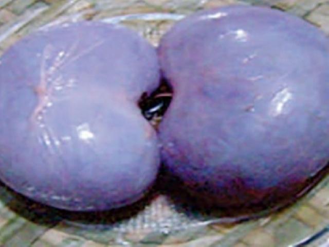 Sức khỏe đời sống - Xôn xao bài thuốc lấy lại ‘phong độ’ quý ông bằng thận dê, thận chó