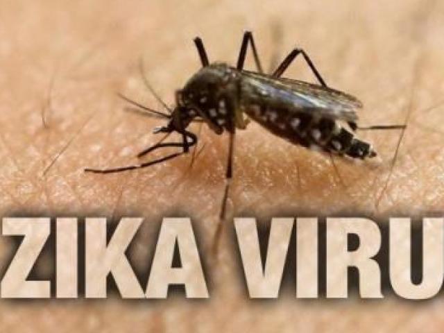 TP.HCM: Số ca mắc Zika tiếp tục tăng mạnh
