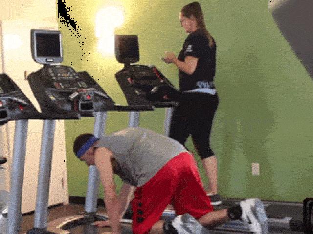 Tranh vui - Ảnh động: Khoảnh khắc khiến bạn không nhịn nổi cười