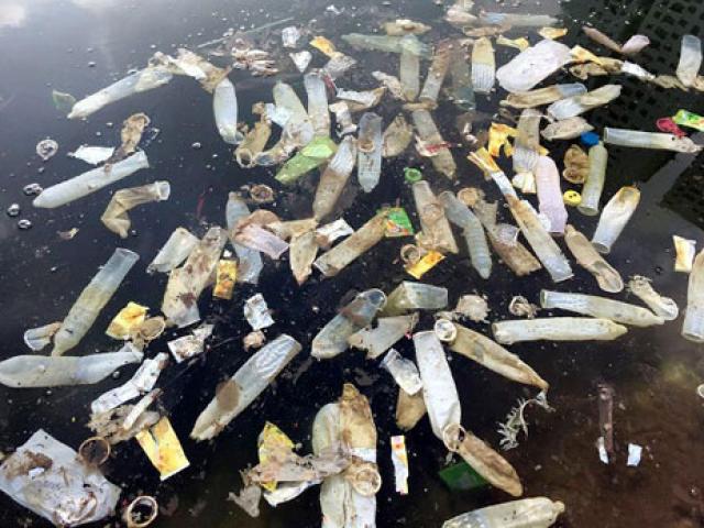 Tin tức trong ngày - Điều tra nguyên nhân bao cao su nổi trắng hồ Linh Đàm