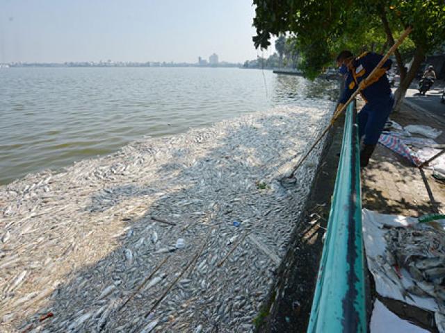 Tin tức trong ngày - Sông hồ Hà Nội: Những "lá phổi" chết giữa Thủ đô