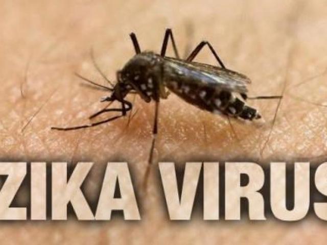 Thực hư thông tin nhiễm virus Zika gây teo tinh hoàn