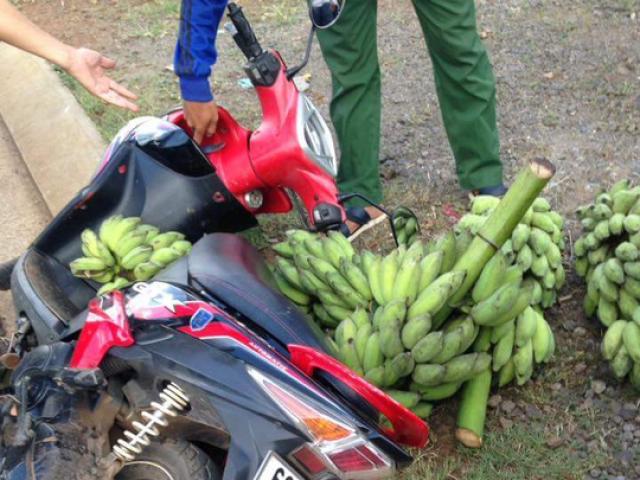 Pháp luật - Rượt đuổi 10km, tóm cổ hai kẻ trộm chuối