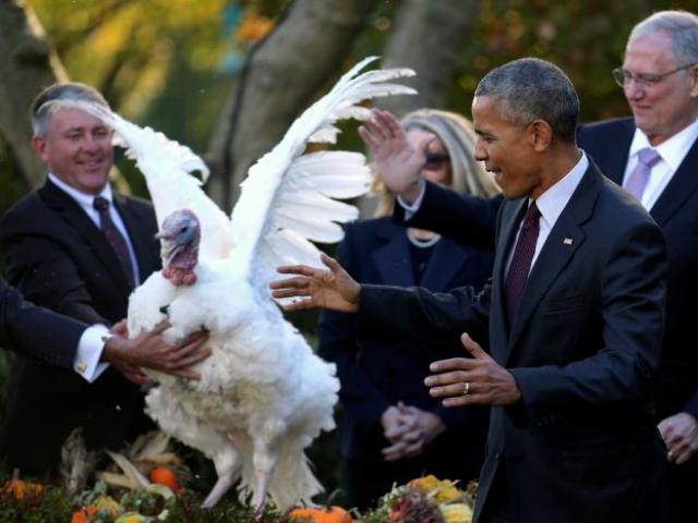 Thế giới - Ông Obama xá tội gà tây lần cuối cùng ở Nhà Trắng