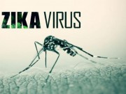 Sức khỏe đời sống - TP.HCM: Ngày nào cũng phát hiện ca nhiễm virus Zika