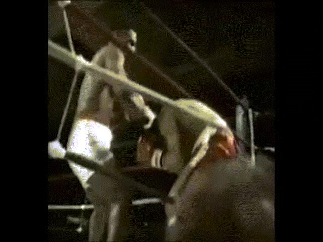 Thể thao - Mike Tyson "lên voi, xuống ngựa" đều bằng knock-out