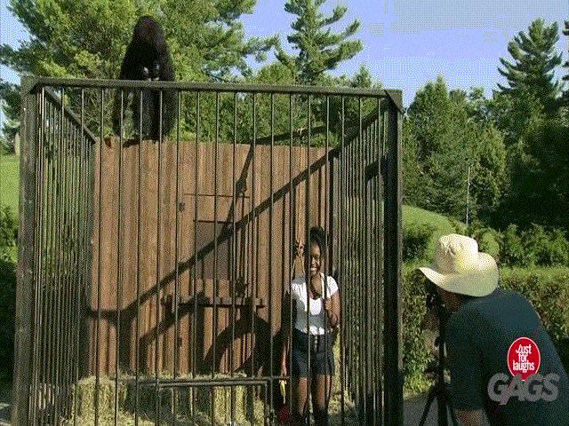 Video Clip Cười - Đang "tự sướng", bị khỉ đột dọa cho phát khiếp