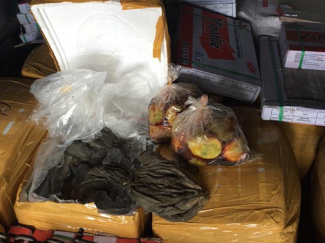 Thị trường - Tiêu dùng - TT-Huế: Lại bắt giữ hơn 1,5 tấn nội tạng bốc mùi hôi thối