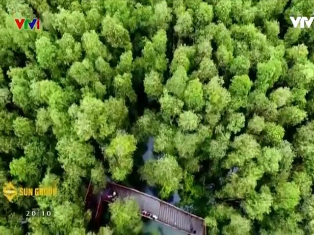 Du lịch - Hương sắc Đồng Tháp Mười