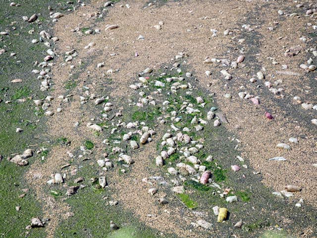 Tin tức trong ngày - Phát hiện bãi thải ven sông Hồng ngập trắng bao cao su