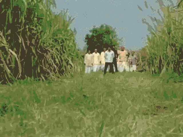 Phim - Ôi thần linh ơi! Đây là những cảnh phim "điêu" nhất Ấn Độ