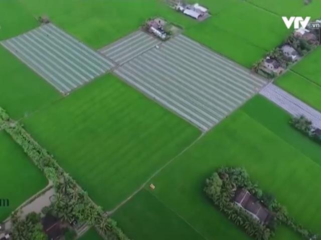 Du lịch - Về làng làm trống độc nhất vô nhị đất phương Nam