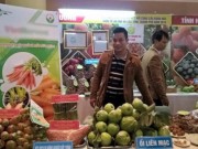 Thị trường - Tiêu dùng - Hà Nội là thị trường bán lẻ nổi bật của thế giới