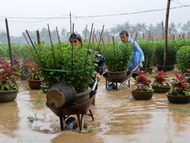 Tin tức trong ngày - Quảng Ngãi: Nhiều hồ chứa đồng loạt xả lũ, hạ du ngập nặng
