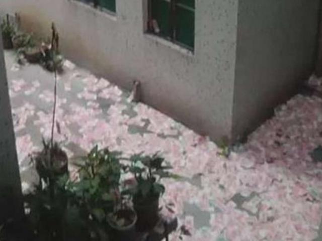 Thế giới - Phát hiện xác người chết dưới “mưa tiền” bí ẩn ở TQ