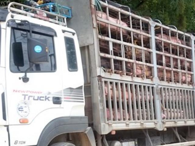 Thị trường - Tiêu dùng - Kiểm tra chặt thực phẩm tươi sống nhập khẩu