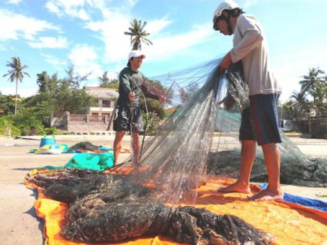 Thị trường - Tiêu dùng - Đổ xô săn "lộc biển"