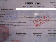 Pháp luật - Chiêu lừa đảo bất ngờ của nữ thủ quỹ ngân hàng