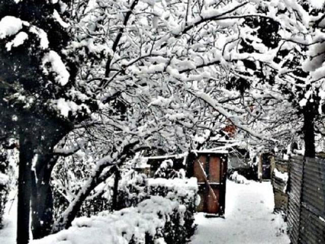 Nghẹt thở vì vẻ đẹp của ngôi làng tuyết phủ ở Ấn Độ