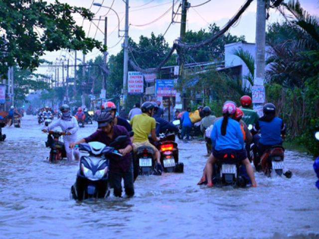 Người Sài Gòn “bơi” về nhà dù trời không mưa