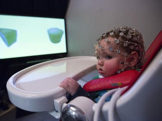 Giáo dục - du học - Kiểm tra não bộ, đoán tương lai trẻ em