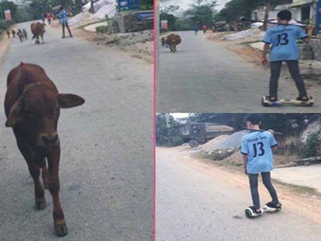 Bạn trẻ - Cuộc sống - Đi xe điện chăn bò - bức ảnh hot trên mạng xã hội hôm nay