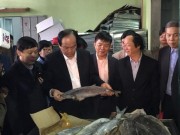 Tin tức trong ngày - 2.600 tấn hải sản đông lạnh &quot;sau Formosa&quot; đã an toàn