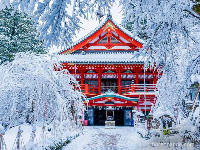 Du lịch - Chùm ảnh: Mùa đông đã biến đổi thế giới như thế nào?